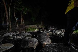 BIB: 
                            <button type="button" onclick="openModal(18617528)" class="btn btn-primary btn-sm float-right btn-popup" data-toggle="modal" data-target=".modal-high-quality">
                        <i class="fas fa-shopping-cart"></i> Add to Cart
                    </button>
                                            <button type="button" onclick="isThisMe(18617528, true)" class="btn btn-success btn-sm float-right btn-popup btn-isme hidden" data-toggle="tooltip" data-placement="bottom" title="นี่คือรูปของคุณใช่ไหม คลิกที่นี่เพื่อเอาเข้าอัลบั้ม">
                        <i class="fas fa-plus"></i> Add to album
                    </button>
                    <button type="button" onclick="isThisMe(18617528, false)" class="btn btn-warning btn-sm float-right btn-popup btn-isnotme hidden">
                        <i class="fas fa-ban"></i> Remove from album
                    </button>